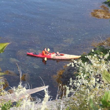 Cygnet Cove Suites Ucluelet Quarto foto