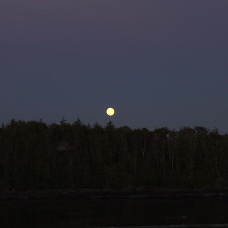 Cygnet Cove Suites Ucluelet Quarto foto