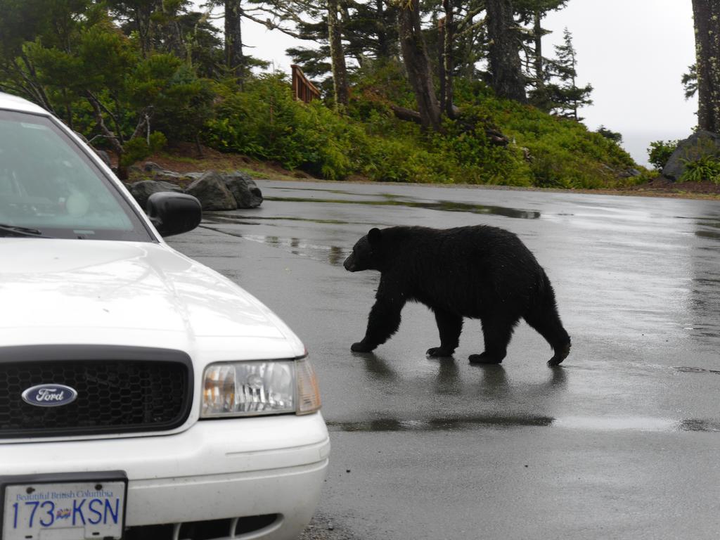 Cygnet Cove Suites Ucluelet Quarto foto