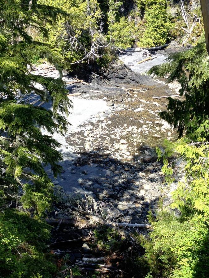 Cygnet Cove Suites Ucluelet Quarto foto