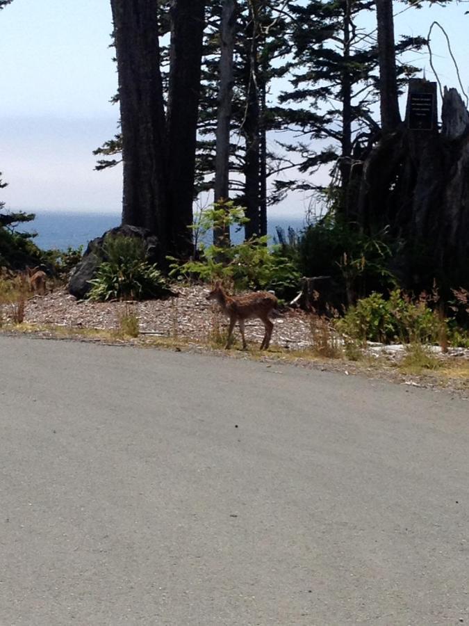 Cygnet Cove Suites Ucluelet Quarto foto